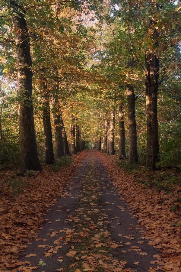 Villa Parkbos De Pinte Zewnętrze zdjęcie